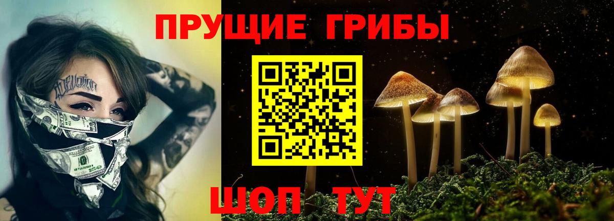 Галлюциногенные грибы MAGIC MUSHROOMS  Вход с VPN  Тверь 